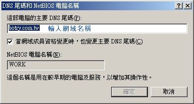 DNS 伺服器網域名稱